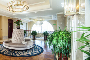 豪华大厅优雅绿植装饰