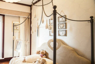 温馨卧室中的舒适休憩场景