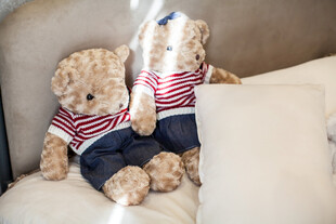 沙发上的可爱条纹小熊