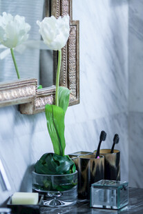 优雅浴室绿植装饰摆件