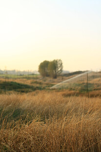 黄昏下的旷野与蜿蜒小路