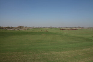 绿茵高尔夫球场风景