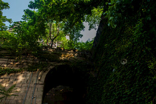 绿荫环绕的古老石拱洞口