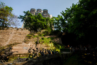 古老城墙旁的繁茂绿植