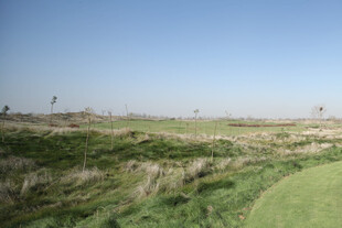 美丽高尔夫球场绿地景观