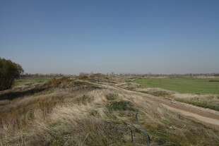 田野间的开阔土路风光