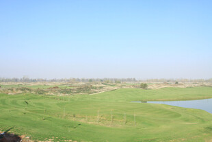 广阔绿野中的静谧湖泊