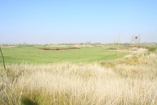 广袤草地与远处开阔景致