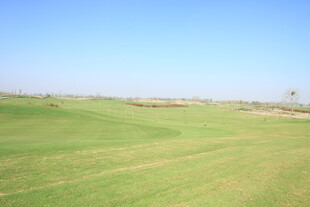 广阔绿茵高尔夫球场景色