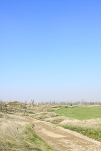 乡间土路 开阔田野风光