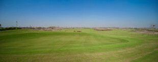 广阔绿茵高尔夫球场