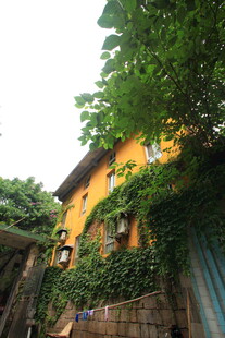 黄墙绿植环绕的温馨小屋