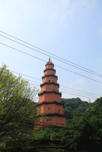 红塔矗立绿树间