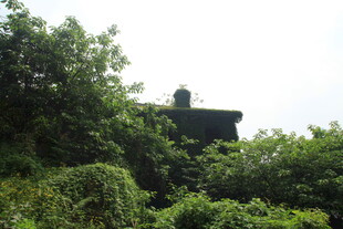 丛林中的神秘建筑