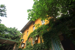 被绿植环绕的温馨小屋