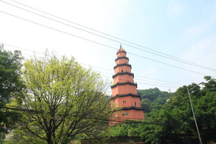 古朴红塔立于绿树间