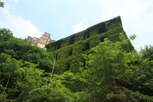 绿植覆盖的建筑外观