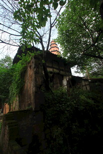 古老废墟隐于繁茂绿植间