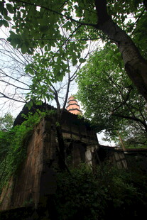 古墙之上绿意盎然的景象