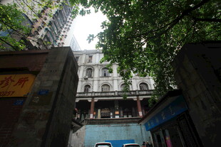 透过绿植看复古建筑