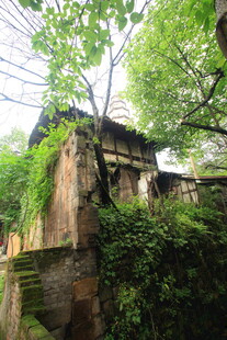 古宅隐于繁茂绿树间