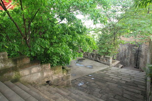 幽静小院绿植环绕的角落