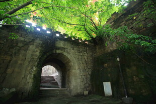 古石拱门与繁茂绿植