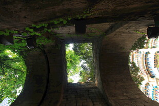 透过石窗望绿意盎然