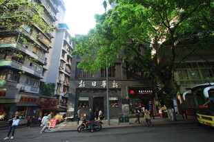 城市街道中的绿树与建筑