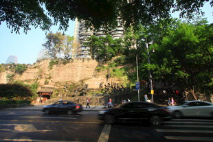 城市街道旁的绿树与车流