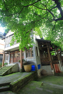 古树下的传统民居小院