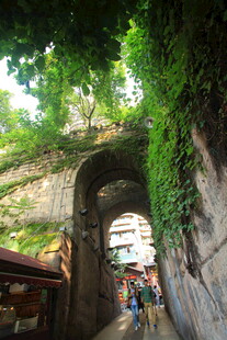 藤蔓覆盖的古老拱形通道