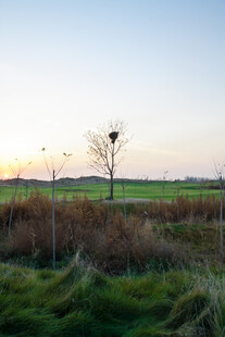 田野孤树迎黄昏
