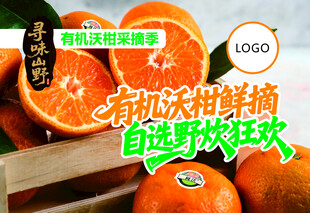 沃柑海报