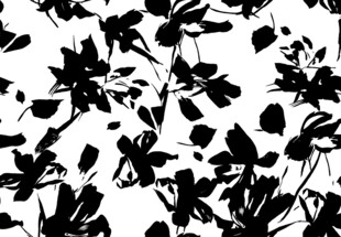 黑白花卉剪影图案