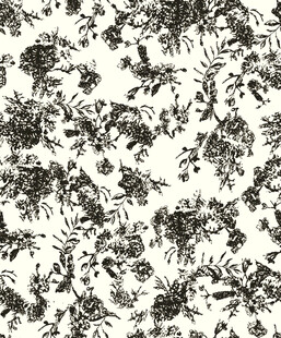黑白抽象植物纹理图案