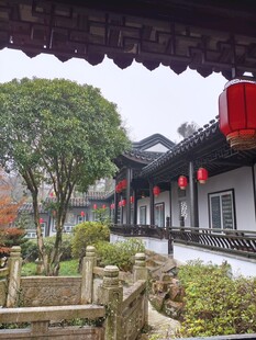 蒋子书院