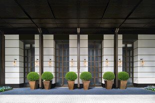现代风格建筑门前绿植景观