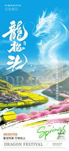 春分龙抬头海报