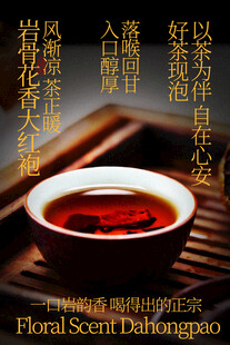 岩骨花香大红袍茶叶饮品