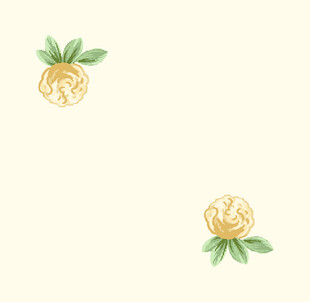 黄色花小碎花数码印花