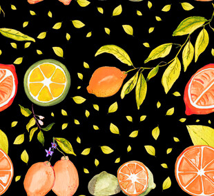 手绘柑橘类水果装饰图案