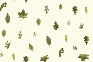 复古风绿叶植物图案素材