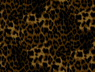 豹纹图案纹理