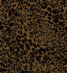 豹纹图案纹理背景