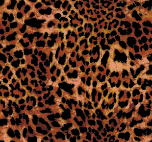 豹纹图案纹理