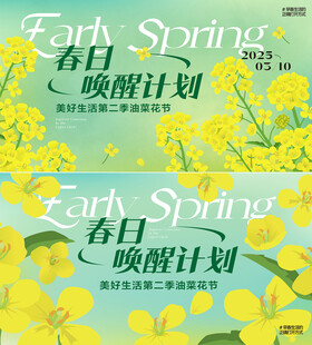 油菜花 