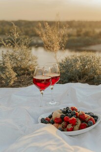 户外野餐红酒与缤纷水果