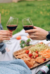 户外野餐中的红酒举杯时刻