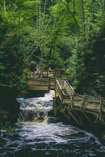 林间木桥伴溪流美景
